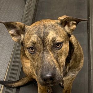 Meet your Posher, Brannon